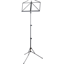 HCBS-100B LEGGIO