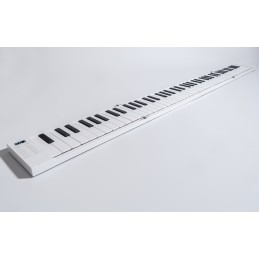 CARRY ON PIANO 88
