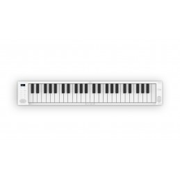 CARRY ON PIANO 49