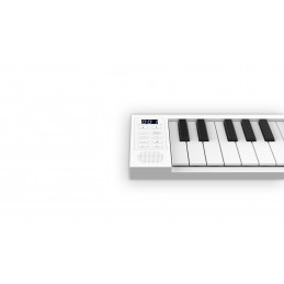 CARRY ON PIANO 49