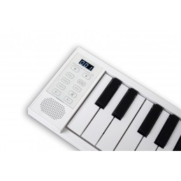 CARRY ON PIANO 49