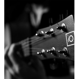QGA-100 CE SOLID NAT (PREAMP)
