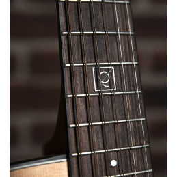 QGA-100 CE SOLID NAT (PREAMP)