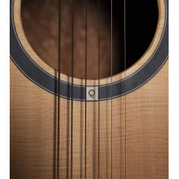 QGA-100 CE SOLID NAT (PREAMP)