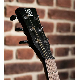 QGA-100 CE SOLID NAT (PREAMP)