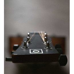 QGA-100 CE SOLID NAT (PREAMP)