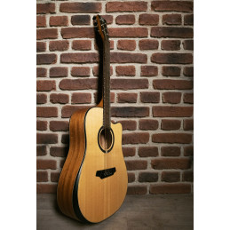 QGA-100 CE SOLID NAT (PREAMP)