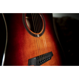 QGA-100CE SBG (PREAMP)