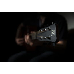 QGA-100CE SBG (PREAMP)