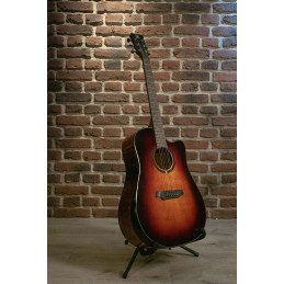 QGA-100CE SBG (PREAMP)
