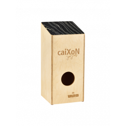 VR-CAIX