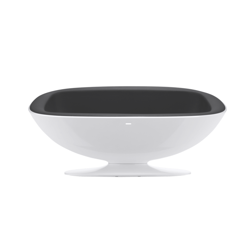 SPACE DOCK 38''