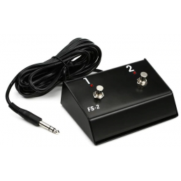 HUGHES & KETTNER FS-2...