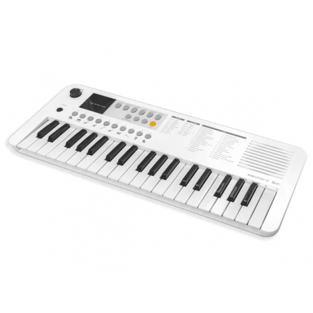 ECHORD SK37