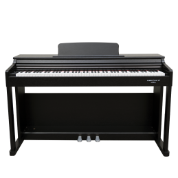 ECHORD DPX-100 - SATIN BLACK