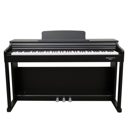 ECHORD DPX-100 - SATIN BLACK