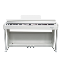 ECHORD DPX-100 - SATIN WHITE