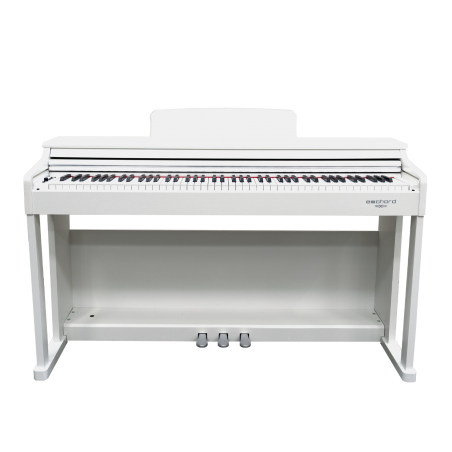 ECHORD DPX-100 - SATIN WHITE