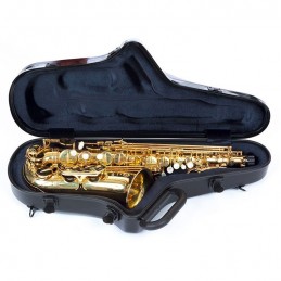 BAM STAGE4111IN CUSTODIA STAGE" PER SAX ALTO - BLACK SABBATH"