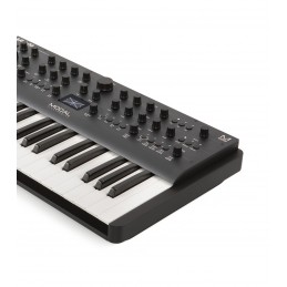 ARGON8 (37 KEYS)