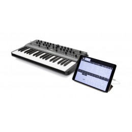 ARGON8 (37 KEYS)