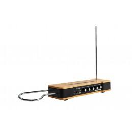 Etherwave Theremin - Nuova versione