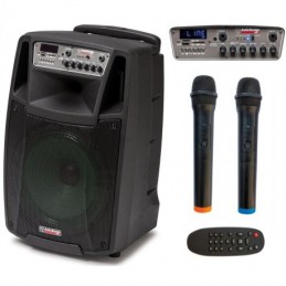 AUDIODESIGN M2 10"