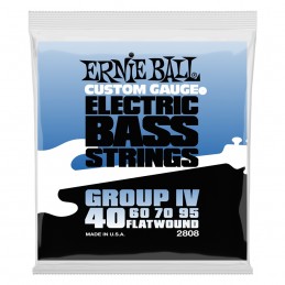 ERNIE BALL 2808