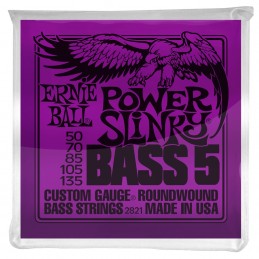ERNIE BALL 2821