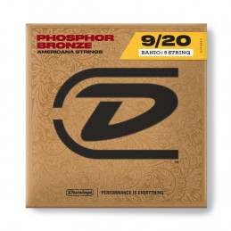 DJP0920 Banjo Phosphor Bronze, Light Set/5
