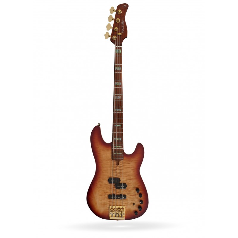 BAJO P10 DX-4 TS