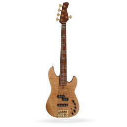 BAJO P10 DX-5 NT