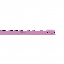 CARRY ON PIANO 88 PINK