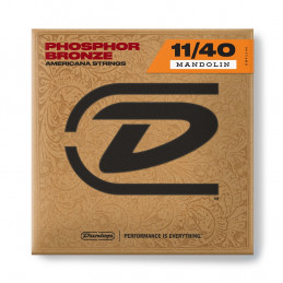 DMP1140 Medium, Set/8