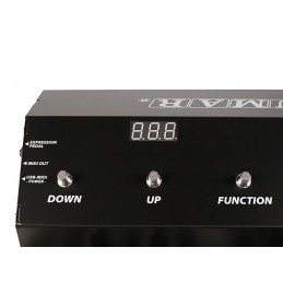 Pedaliera MIDI con 13 note 