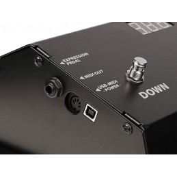 Pedaliera MIDI con 13 note 