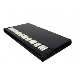 Organo Virtual tonewheel a 61 tasti con 9 Drawbar, software GSi VB3.2. Versione Nera Limited Edition