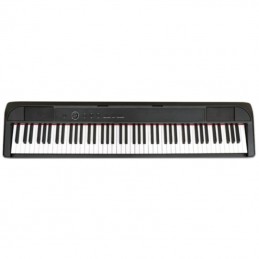 ECHORD DP-1 BLACK