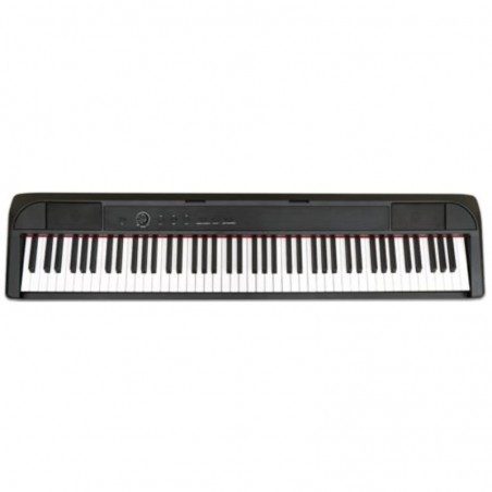 ECHORD DP-1 BLACK