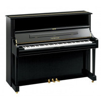 Pianoforti Acustici