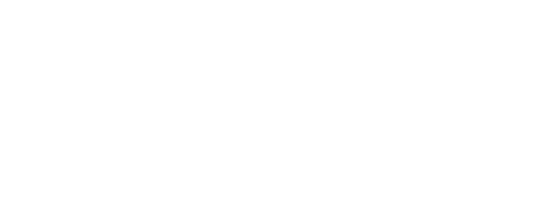 JET GUITARS