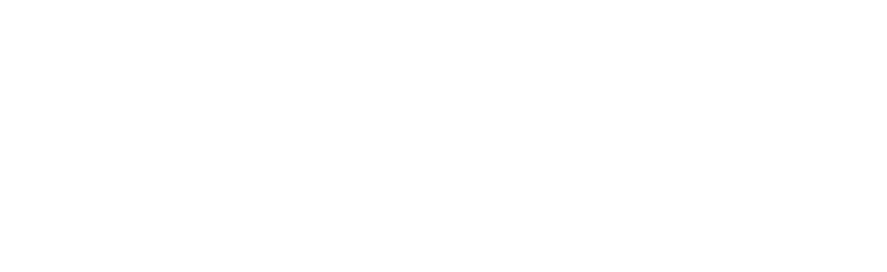 SPIRA GUITARS